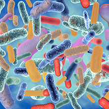 Microbial Cycling-220x220.jpg