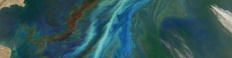 satellite-image-of-an-algal-bloom