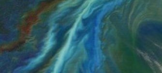 satellite-image-of-an-algal-bloom-main.jpg