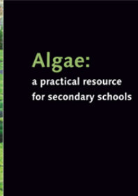 algae.jpg 2
