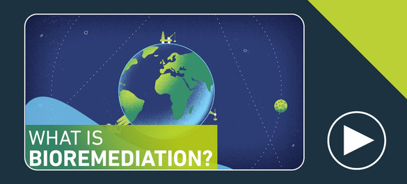 Thumbnail of a video on what is bioremediation