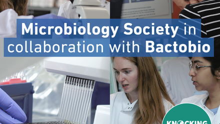 BACTO TB_425x500_New.png