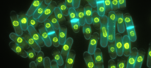 BYG 2022 Scott Curran.png 7