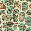 Drawing of bacterial cell structure