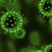 Journal of General Virology cover with multiple green virus particles.