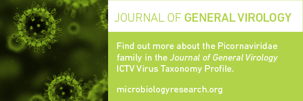 Journal of General Virology. Find out more about the Picornaviridae family in the Journal of General Virology ICTV Virus Taxonomy Profile. microbiologyreasearch.org