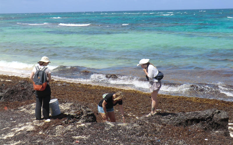 carribbean-beaches.jpg