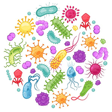 microbial primer 220x220.png