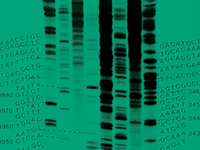 Journal of General Virology branding