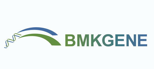 BMKGENE_logo_website-01.png 2