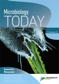 Cover of Microbiology Today, issue of November 2015
