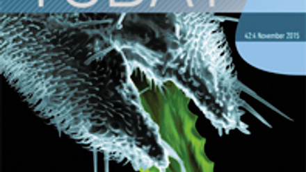 Cover of Microbiology Today, issue of November 2015