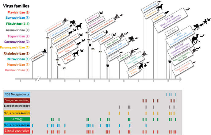MT Nov 15 species barrier zoonotic viruses