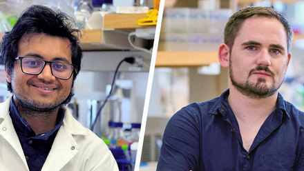 Headshots of Stephen Dolan from Clemson University in a lab setting, winner of the 2026 Toni Trinchi Award.