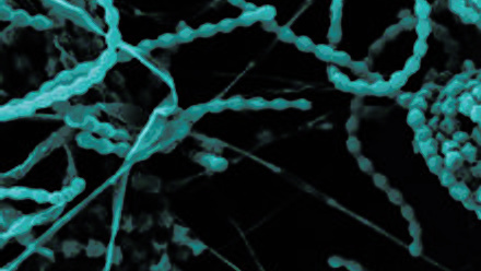 Publishing platform image.jpg