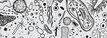 Illustration of cells, bacteria and viruses