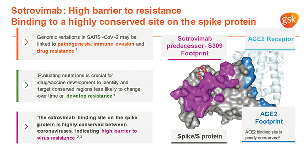 Infographic about Sotrovimab: high barrier to resistance binding to a highly conserved site on the spike protein