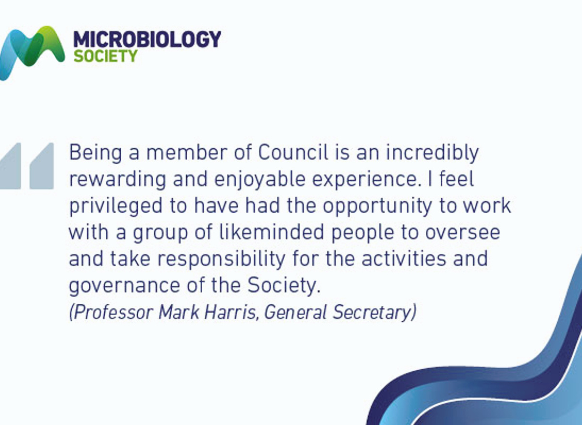 Professor Mark Harris