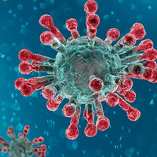 Coronavirus virion illustration (red and green) on blue background 
