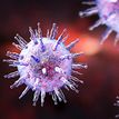 Colourful image of a virus.