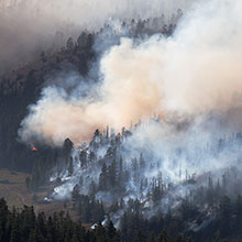 Forest fire in Dixie National Forest