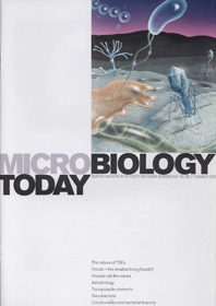 MT November 2000 cover web