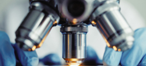 Close up of microscope objective lenses