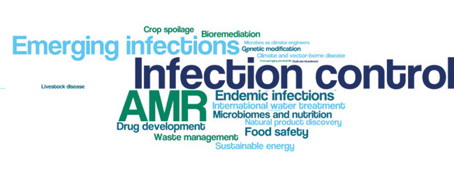 MT Aug 15 microbiology matters wordle