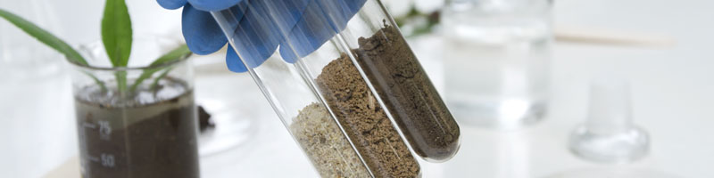Laboratory assistant holding glass tubes of sand, black soil and clay befor testing them
