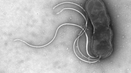 Farah Mahmood blog Thumbail (1).jpg