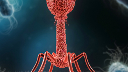 iStock-libre de droit Phage PR.jpg