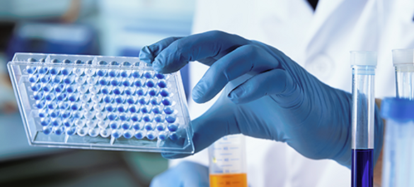 Scientist in gloves and a lab coat holding a microplate with blue samples, working at a busy lab bench