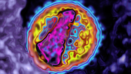 MT May 2013 c0129483