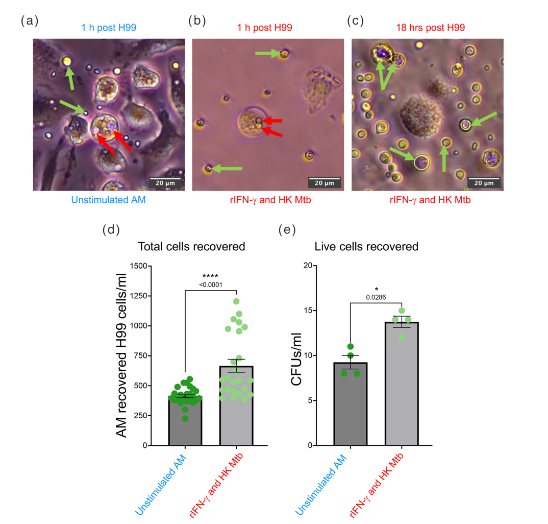 Screenshot 2026-02-18 122835.png 1