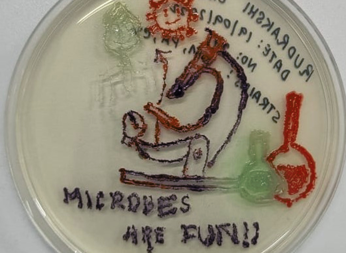 Agar art plate 6