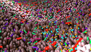 Mining the microbiome 1600x468.png