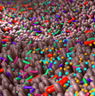 Mining the microbiome 1600x468.png
