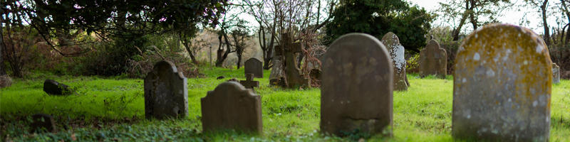 churchyard-lichens-main.jpg