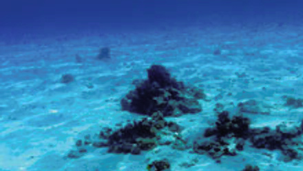 MT Aug 2013 Jensen - marine