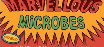 Marvellous-microbes.jpg