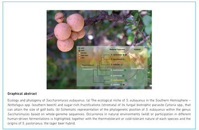 Screenshot 2019-08-01 at 14.05.42.png