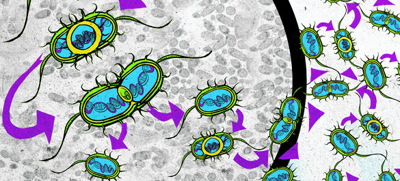 The Invisible War - thumbnail_002.png