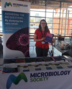 MT Aug 16 news senedd