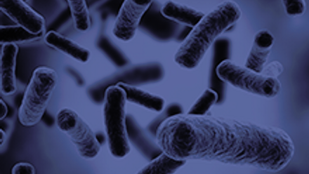 Microbiology 220x220.png