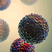 Microscopic image showing multiple mult-coloured cells.