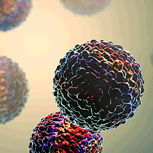 Microscopic image showing multiple mult-coloured cells.