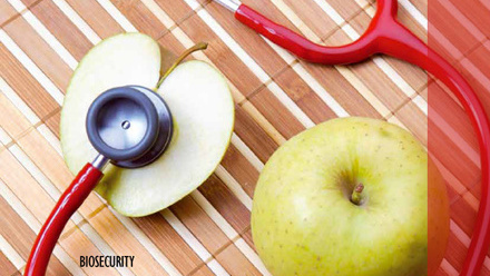 Cover of Microbiology Today, issue of August 2010