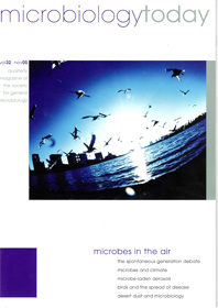 MT November 2005 cover web