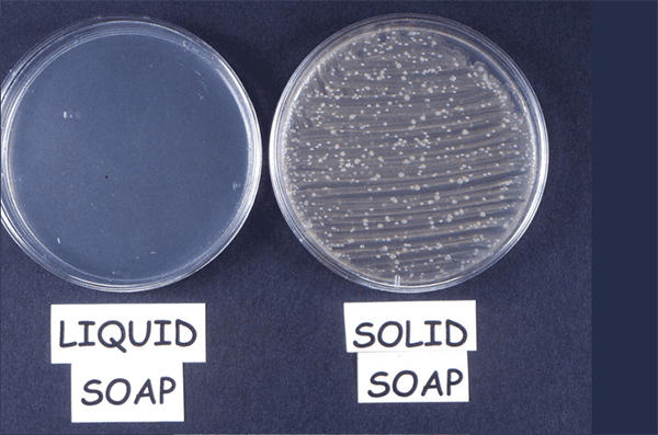 A sample of liquid soap spread onto nutrient agar