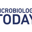 microbiology-today-featured-image.jpg